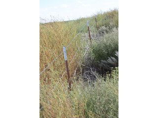 Property photo 116 - LAND AUCTION, 3255+/- Acres offered in 13 Tracts